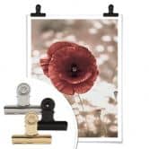 Poster Delgado - Mohnblumen-Portrait 