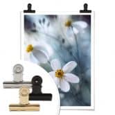Poster Disher - Die weiße Blüte 