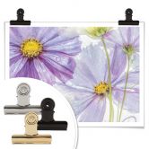 Poster Disher - Frozen Flowers 