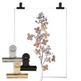 Poster Disher - Hortensie 