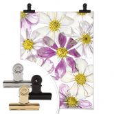 Poster Disher - Keeping Summer 
