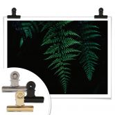 Poster Farn 03 