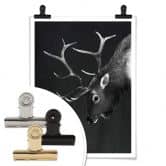 Poster Graves - Deer and Rabbit 