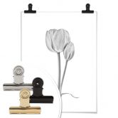 Poster Grønkjær - Tulpen 