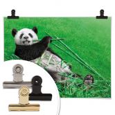 Poster Ben Heine - Glücklicher Panda 