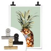 Poster Loose - Ananaseule 