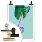 Poster Loose - Candy Chameleon 
