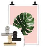Poster Loose - Monstera Ant 