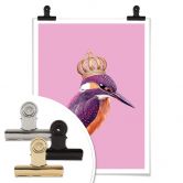 Poster Loose - Queenfisher 