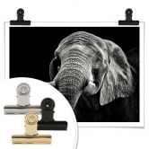 Poster Meermann - Der Elefant 