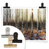 Poster Olsen - Sonnenschein im Birkenwald 