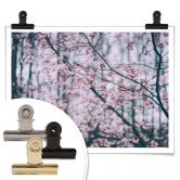 Poster Pink Flower Dream 03 