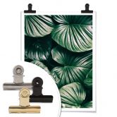 Affiche - Urban Jungle - Alokasie Calidora 