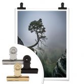 Poster Wonisch - Kräfte der Natur 