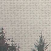 Livingwalls Fototapete Designwalls Misty Forest Wald 