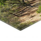 Stove cover plate savannah landscape in Africa - Hugonnard 