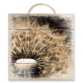 Holzbild Dandelion - 40x41,5 cm 
