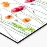 Küchenrückwand Blumen - Bunte Mohnblumen - Disher 
