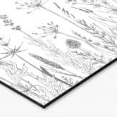 Küchenrückwand Feldblumen Illustration 