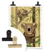 Poster Braun - Koala 
