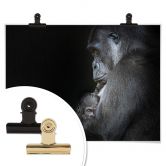 Poster Cuadrado - Tenderness 