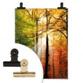 Poster - Goldener Herbst  
