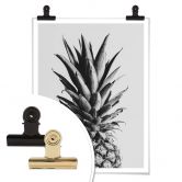 Plakat - 1X Studio - Ananas 