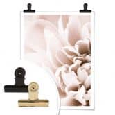 Plakat - 1X Studio - Flowers 