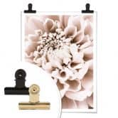 Poster 1X Studio - Chrysantheme 