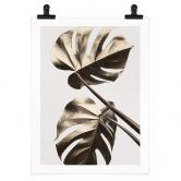 Poster 1X Studio - Goldene Monstera 
