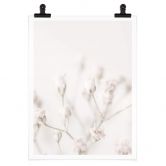 Poster 1X Studio - Zarte Blüten 