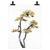 Poster Blühender Bonsai - Pflanzenposter - Amini 