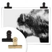 Poster Angyalosi - Bison 