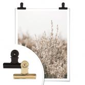 Plakat - Annie - Grass 