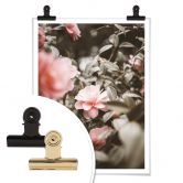 Poster Annie - Rosenblüte 