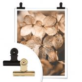 Plakat - Annie - Delicate Flowers 