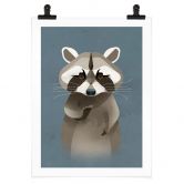 Poster Waschbär - Braun 