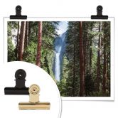Poster Colombo - Wasserfall im Wald 