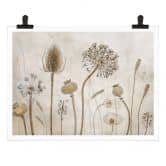 Poster Disher - Trockenblumen 