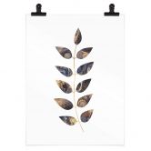 Poster Fredriksson - Feuilles marbrées 