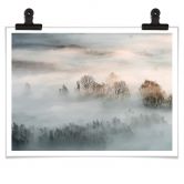 Poster Galimberti - Winternebel 
