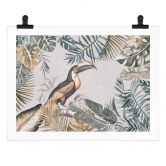 Poster Tropischer Wald mit Tukan - Haase 