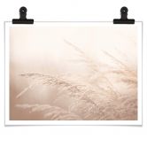 Poster Im Morgenlicht 