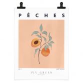 Poster Saftige Pfirsiche - Ivy Green Illustration 