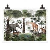 Poster Kikki Belle - Animal Kingdom 