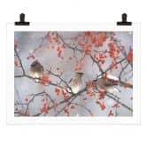 Poster Li - Drei Vögel in einer Winterlandschaft 