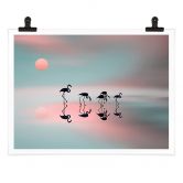 Poster Natalia - Flamingo Familie 