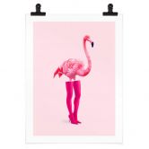 Poster Flamingo pink - Pozdniakov - Flaminciaga 