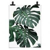 Plakat - Sisi & Seb - Monstera 