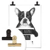 Poster Solti - Being normal is boring 